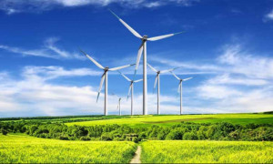 Les énergies renouvelables se développent à un rythme plus vu depuis 20 ans (rapport AIE)