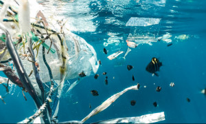 La pollution plastique des ocans moindre en quantit mais plus durable, selon une tude