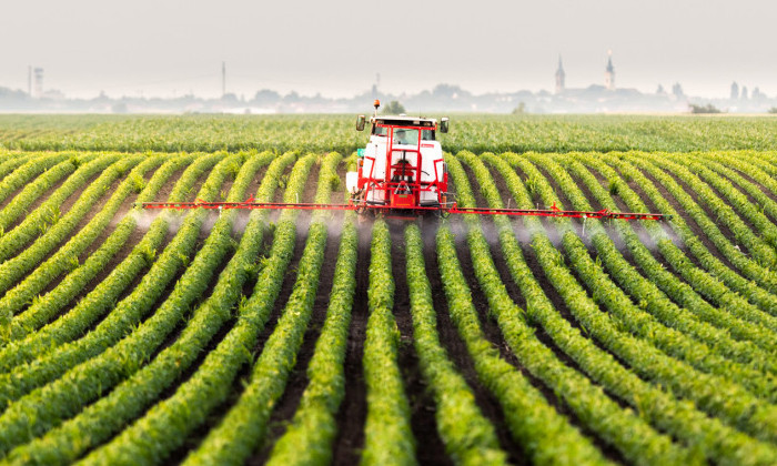 Epandage/pesticides: nouveaux recours devant le Conseil d'Etat
