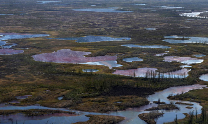 Les barrages flottants n'ont pas arrt la pollution en Arctique russe (responsable)